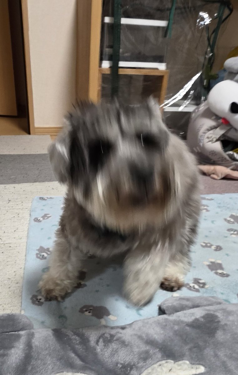 Mill_U._.U tweet media