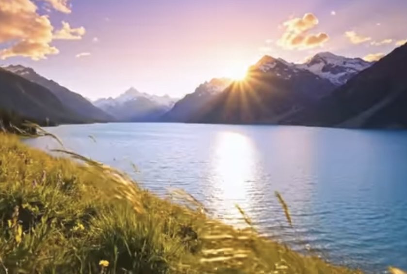 Heather Schuldt 🌟🇺🇸 tweet media