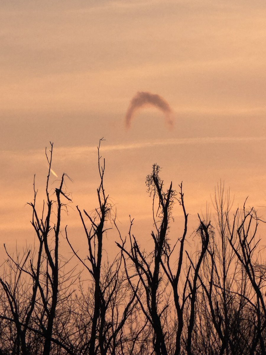 Paige Berdomas🌪 tweet media