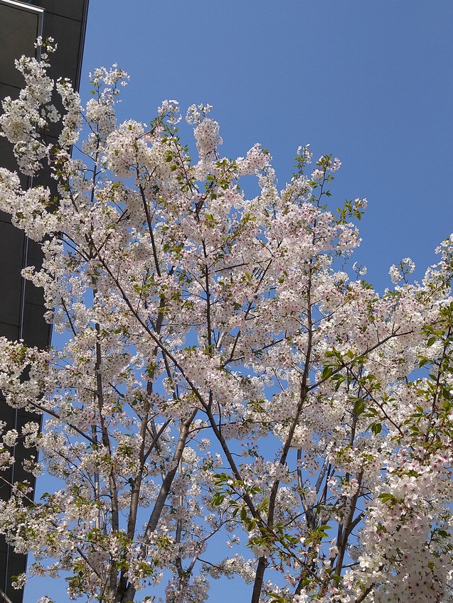 [公式]ユニフォームのサン・アパレル tweet media