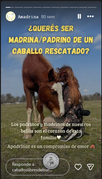 yagiba 🍵 tweet media