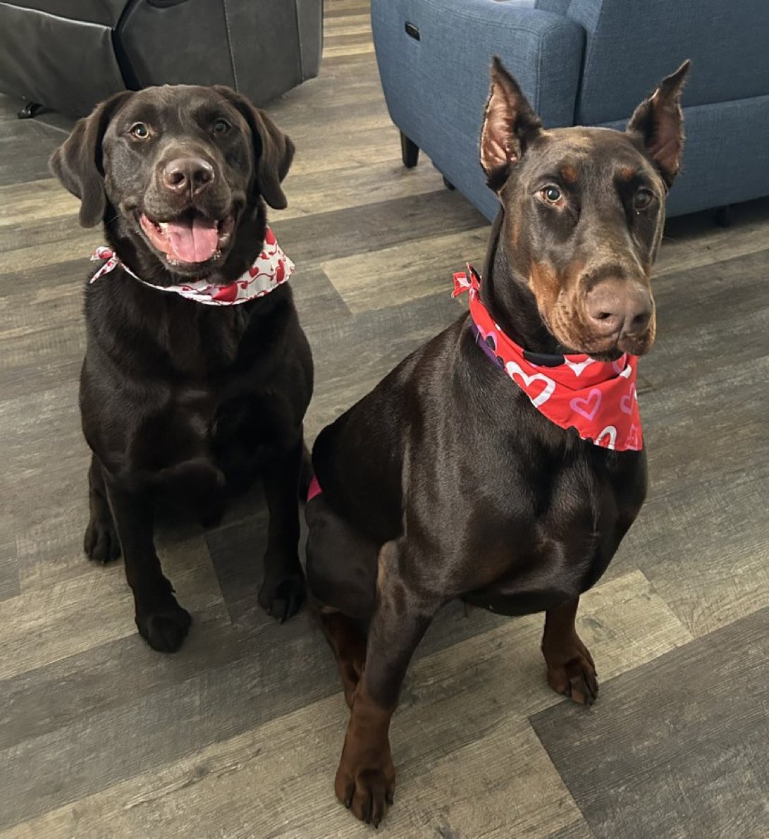 BubbaHoTep tweet media