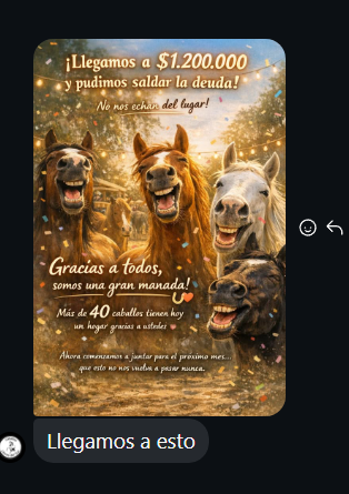 Tracen Academy Oficial 🎓 tweet media