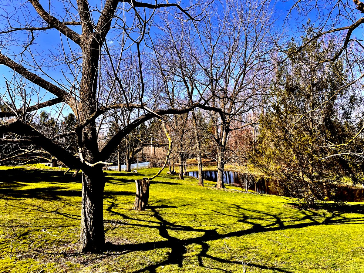 Nuran Sinal Ozsu tweet media