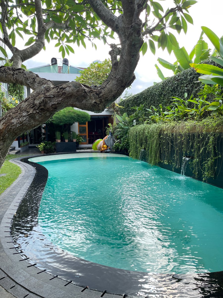 Orenjus 🍊 tweet media