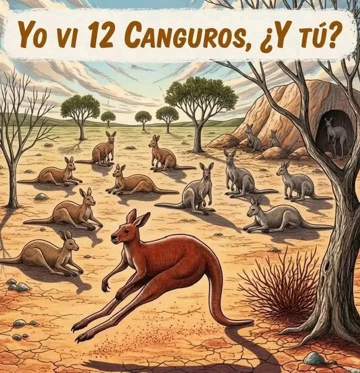 Dr. Alberto Blázquez tweet media