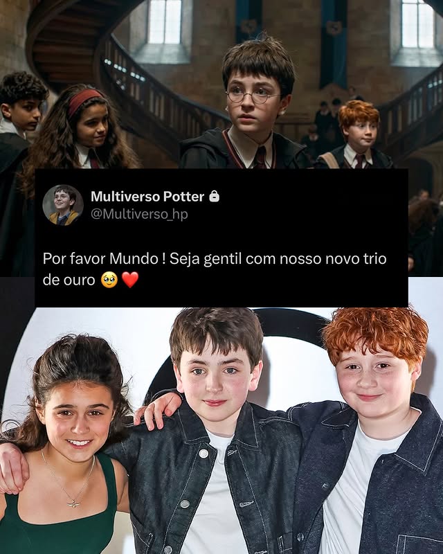 Multiverso Potter tweet media