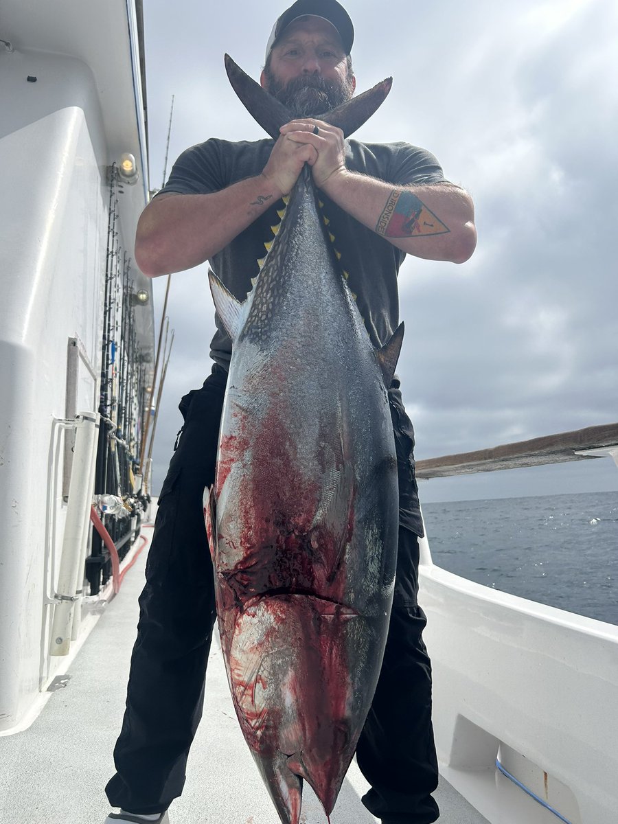 Joe The Tanker tweet media