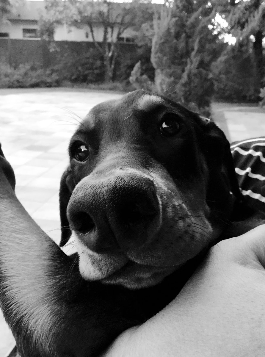 rha 🪩 tweet media