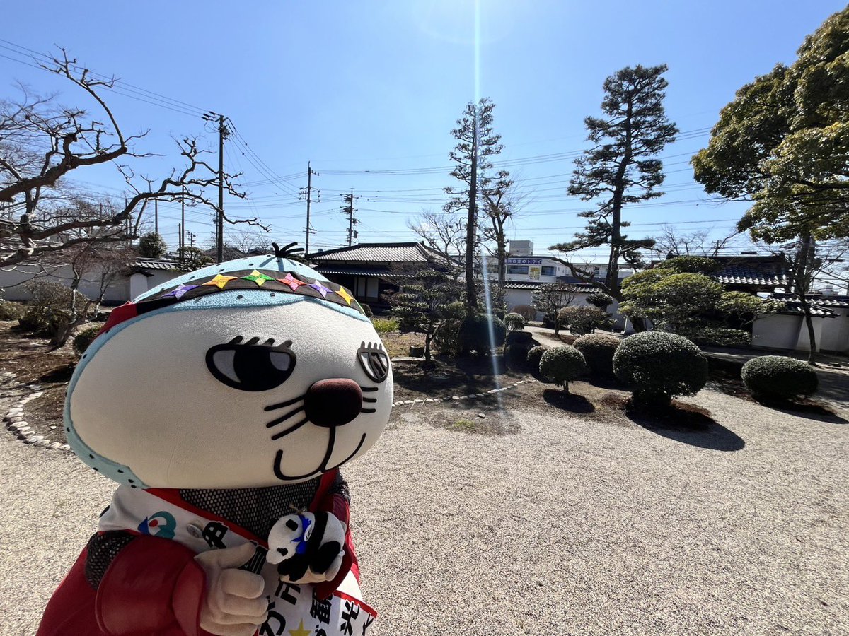 いが☆グリオ tweet media