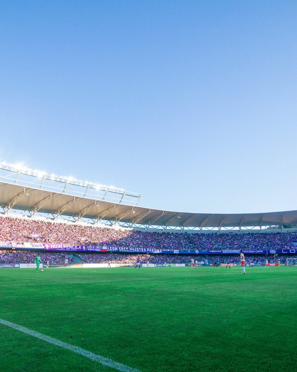 Deportes Concepción tweet media