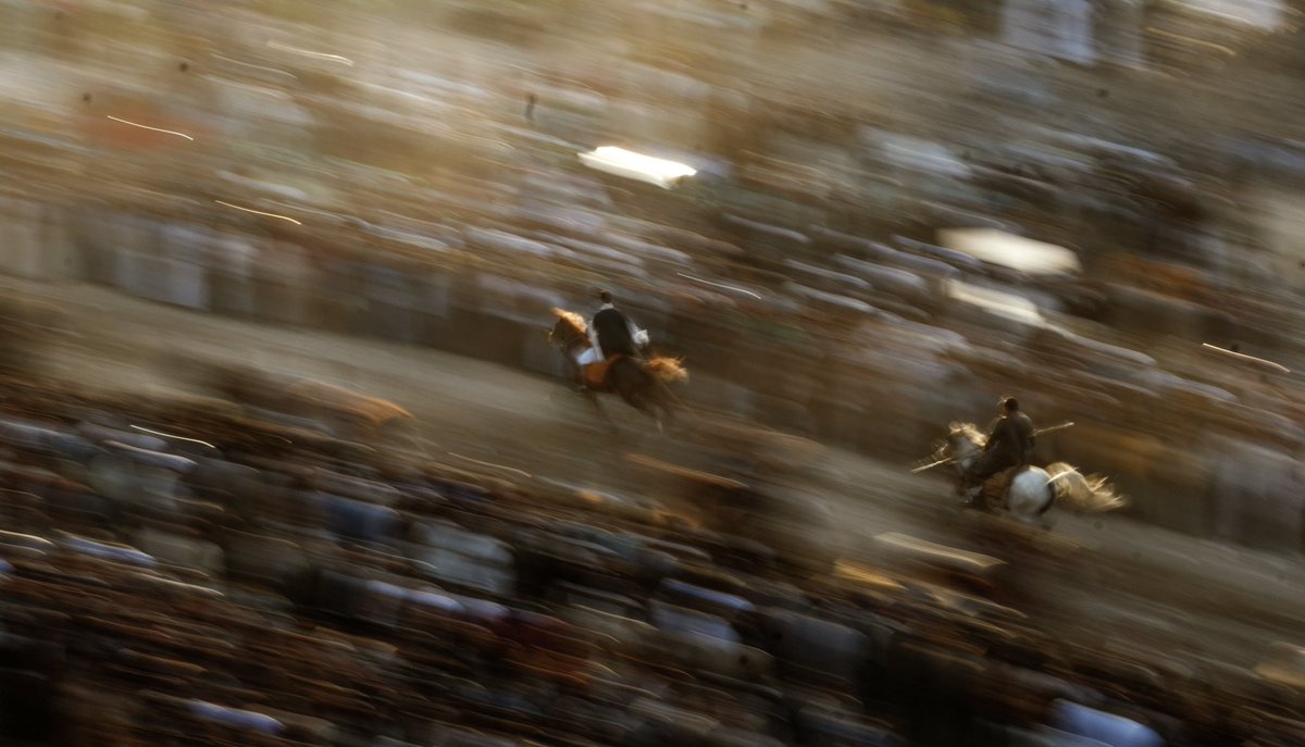 Documentaries 🌍 اسأل عن التاريخ tweet media