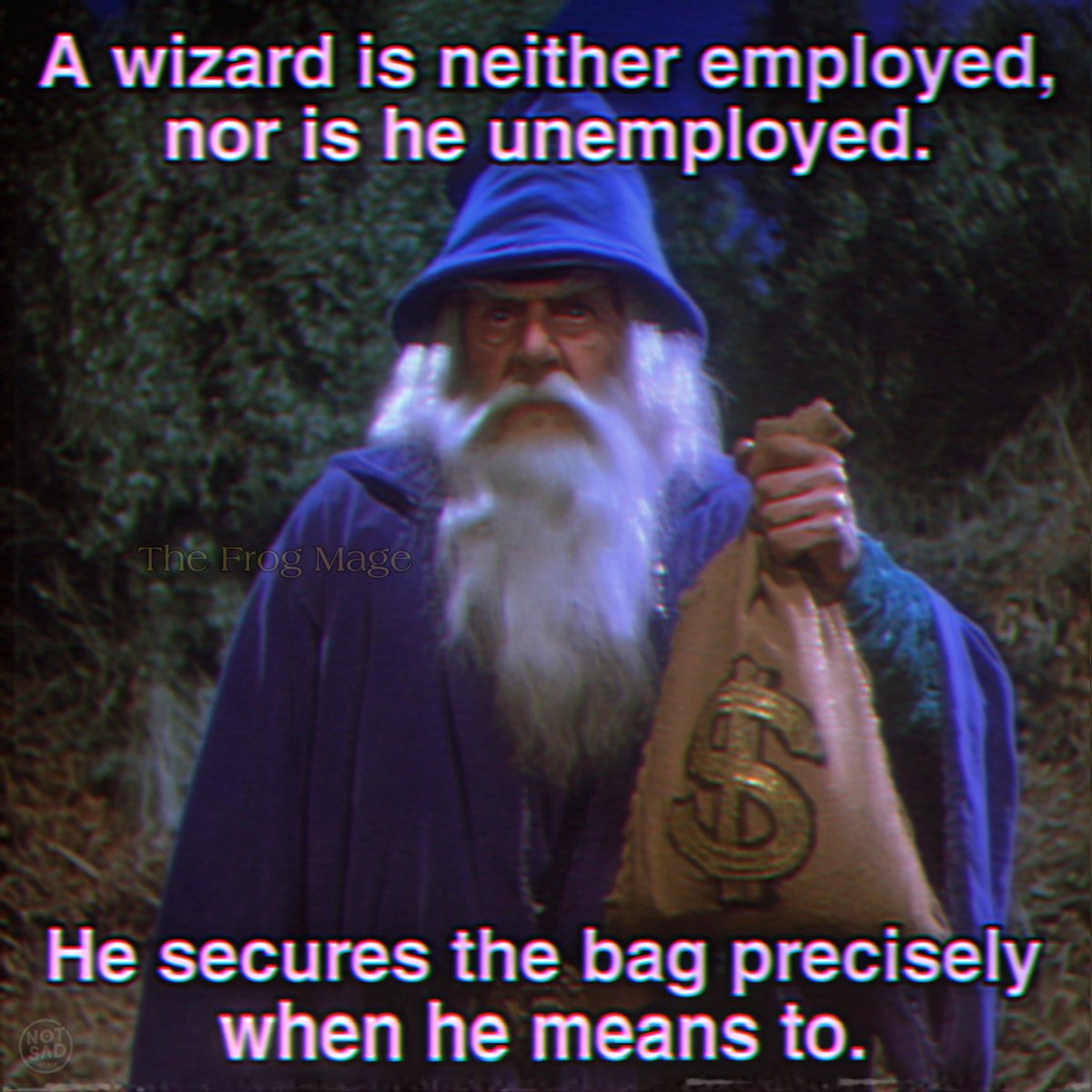 The Frog Mage tweet media