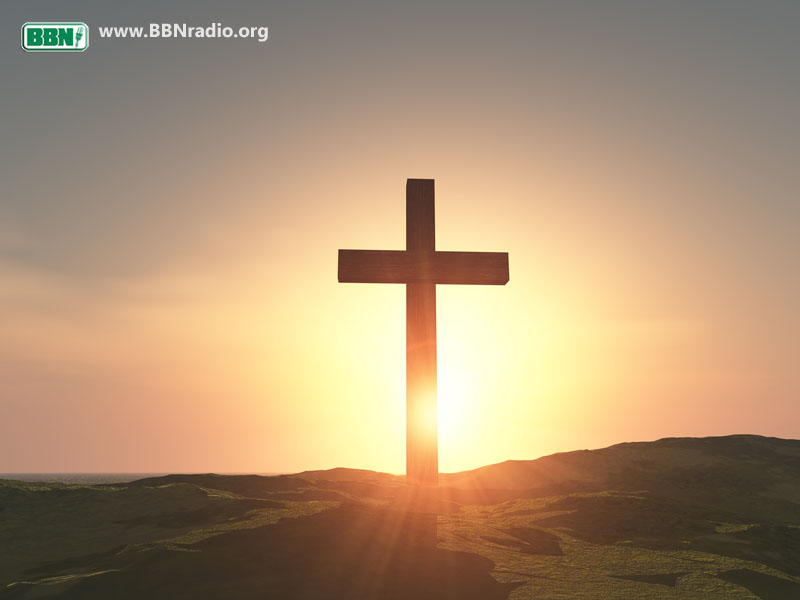 BBNEspañol tweet media