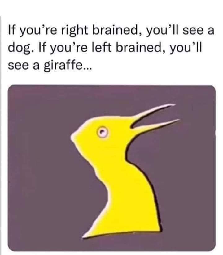 Johnny Cadillac tweet media