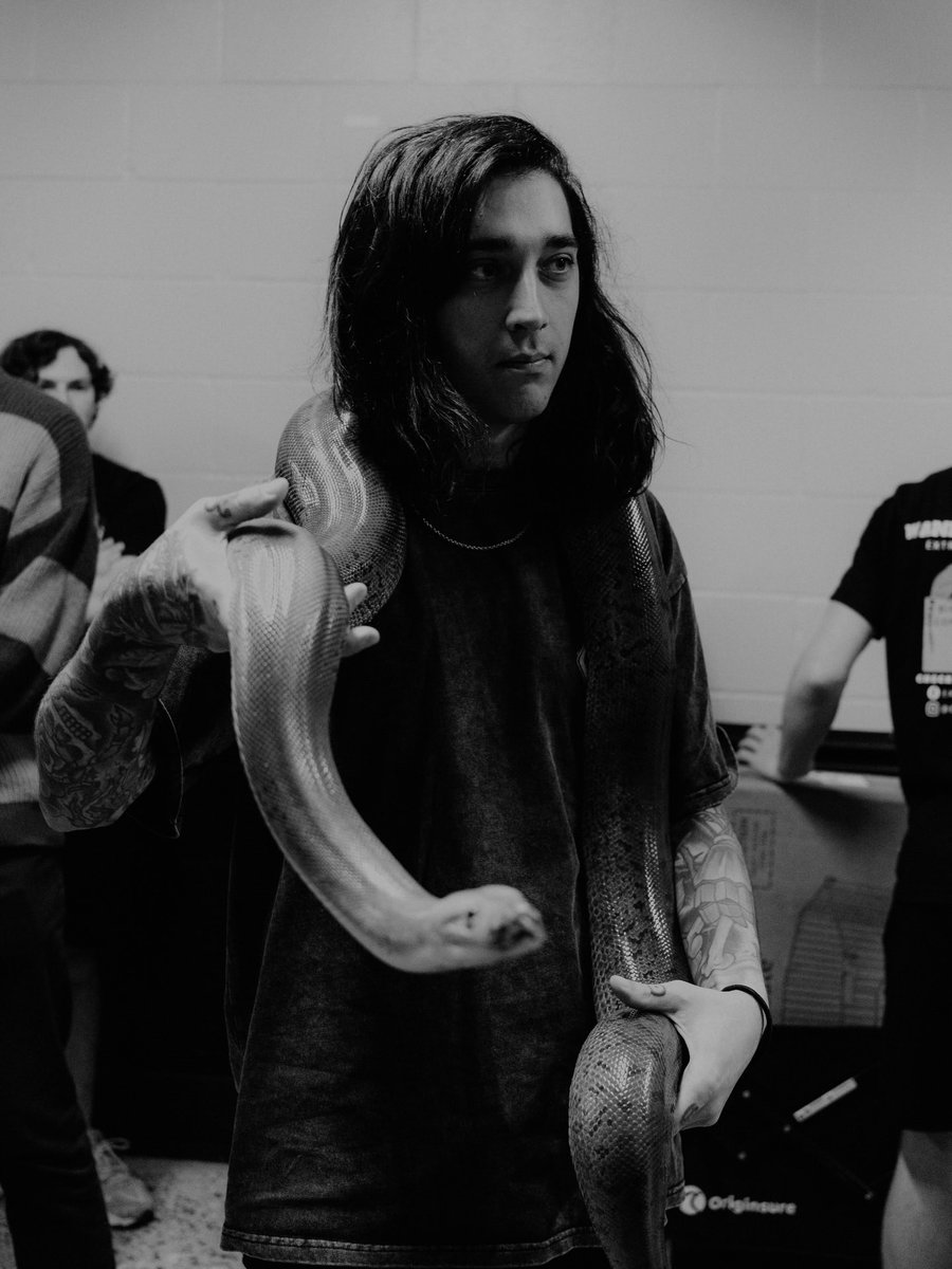 daily ruffilo tweet media