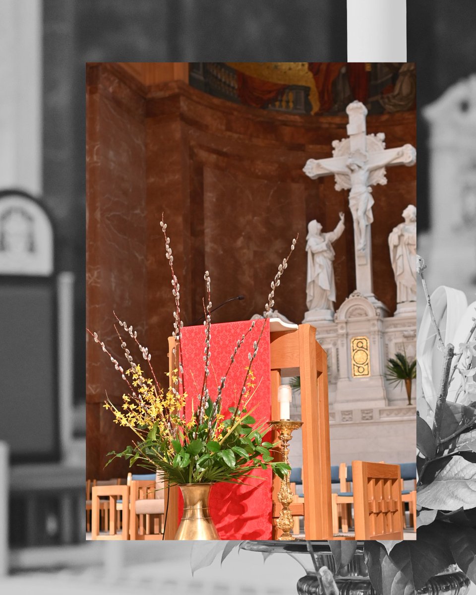 Archdiocese of Indianapolis tweet media