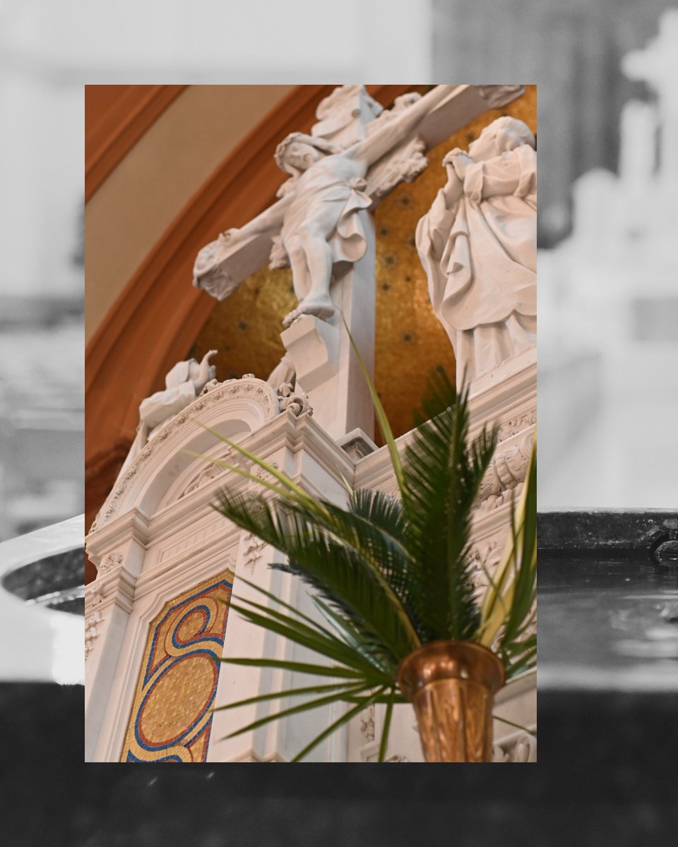 Archdiocese of Indianapolis tweet media