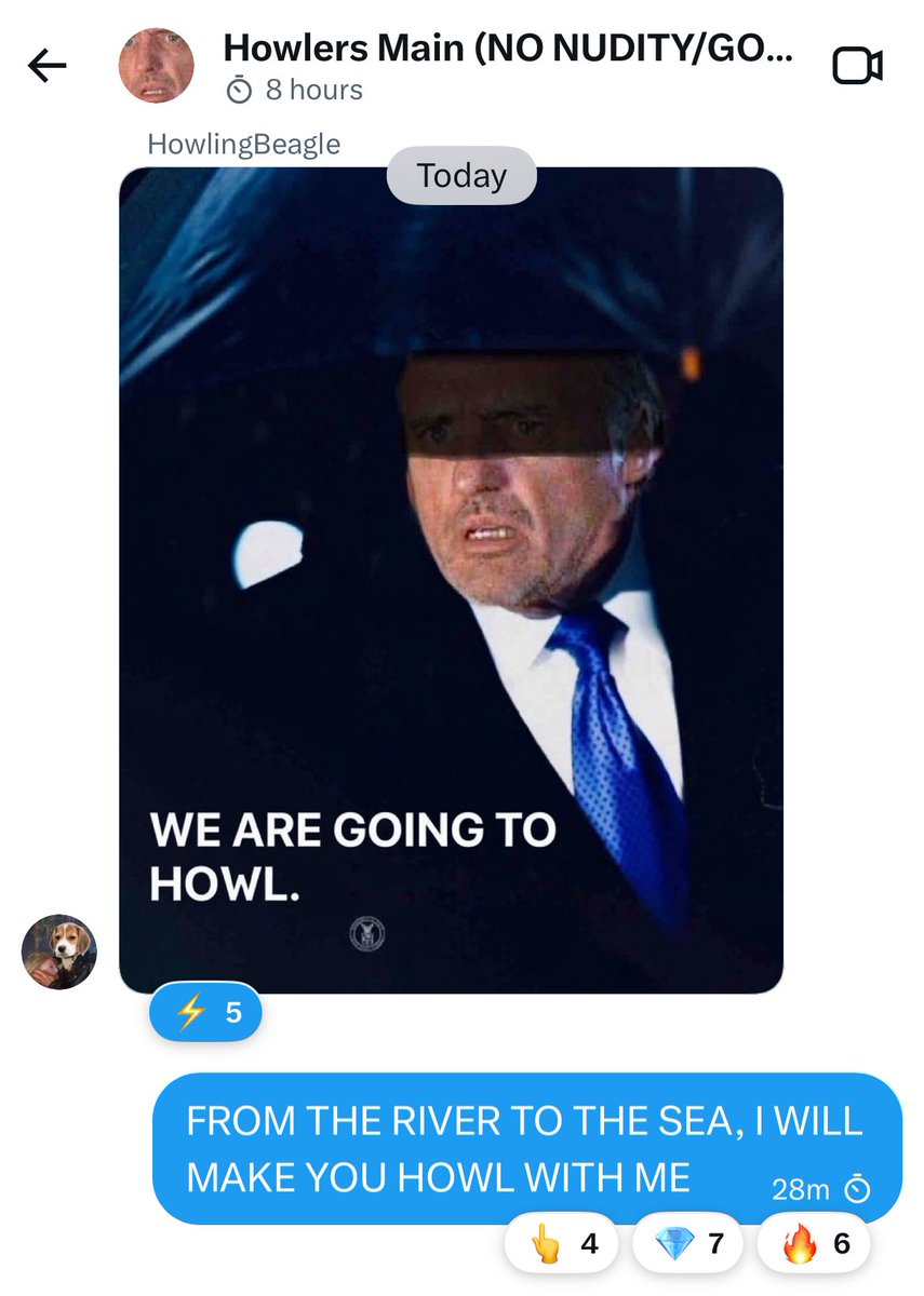 HowlingJones tweet media