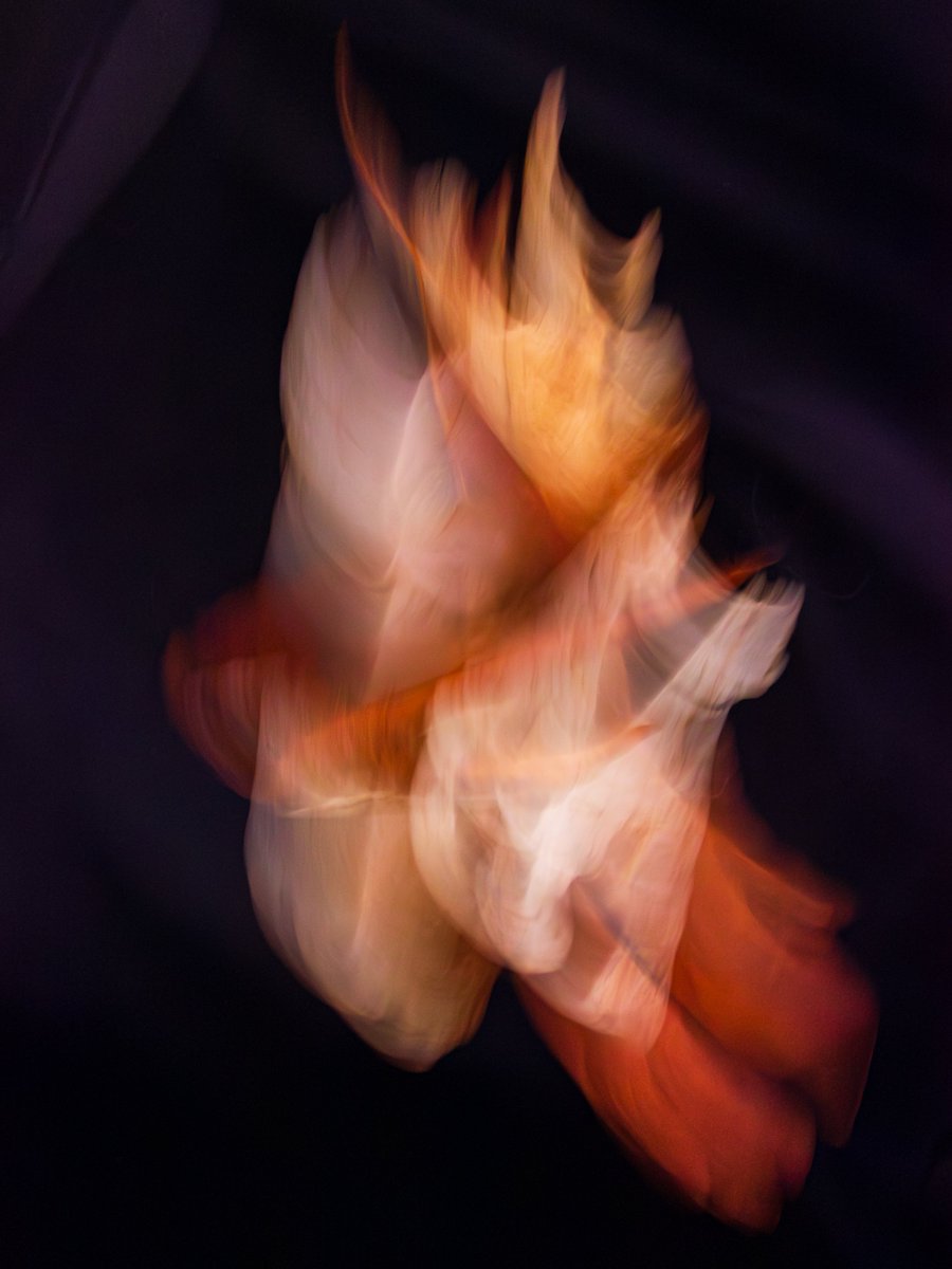 Andrew Hooker 🇦🇺📸 tweet media