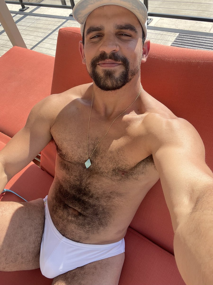 Bruno Rex tweet media
