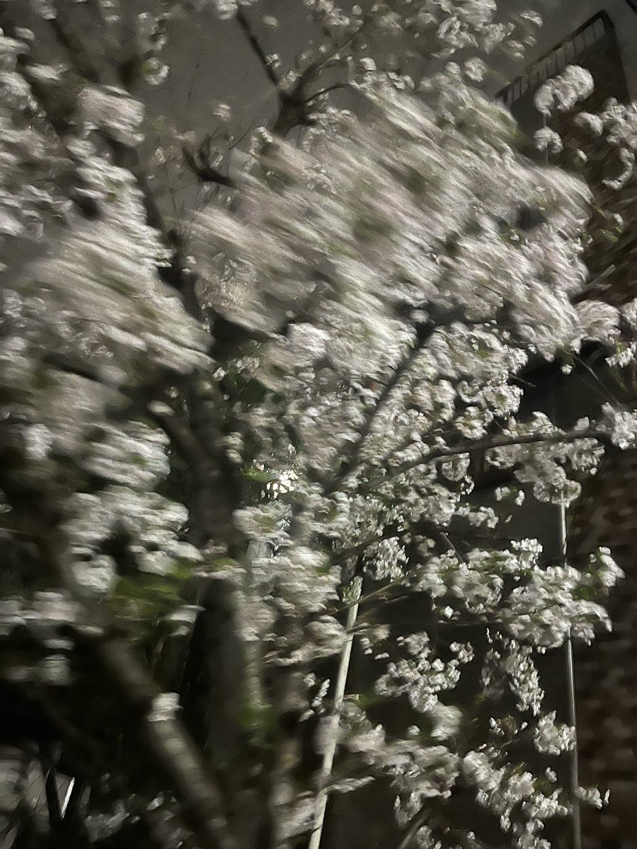 七海ツナ💟5/3 ぶいかふぇ昼の部 ご予約募集中🈁 tweet media