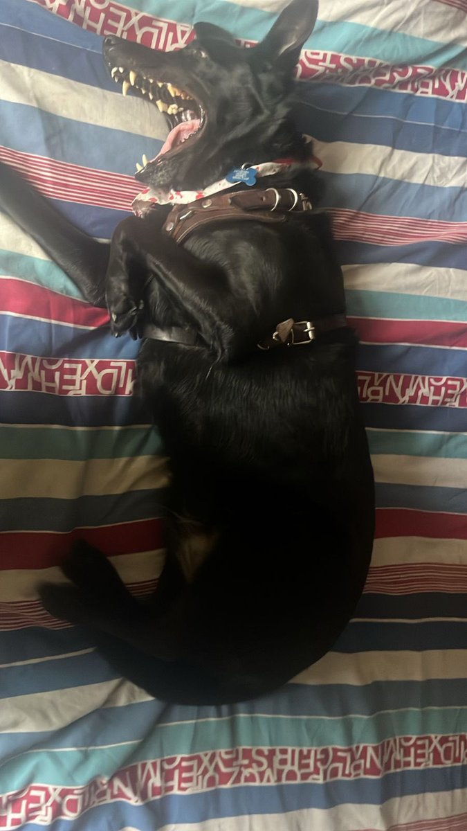 Rafa_nyc tweet media