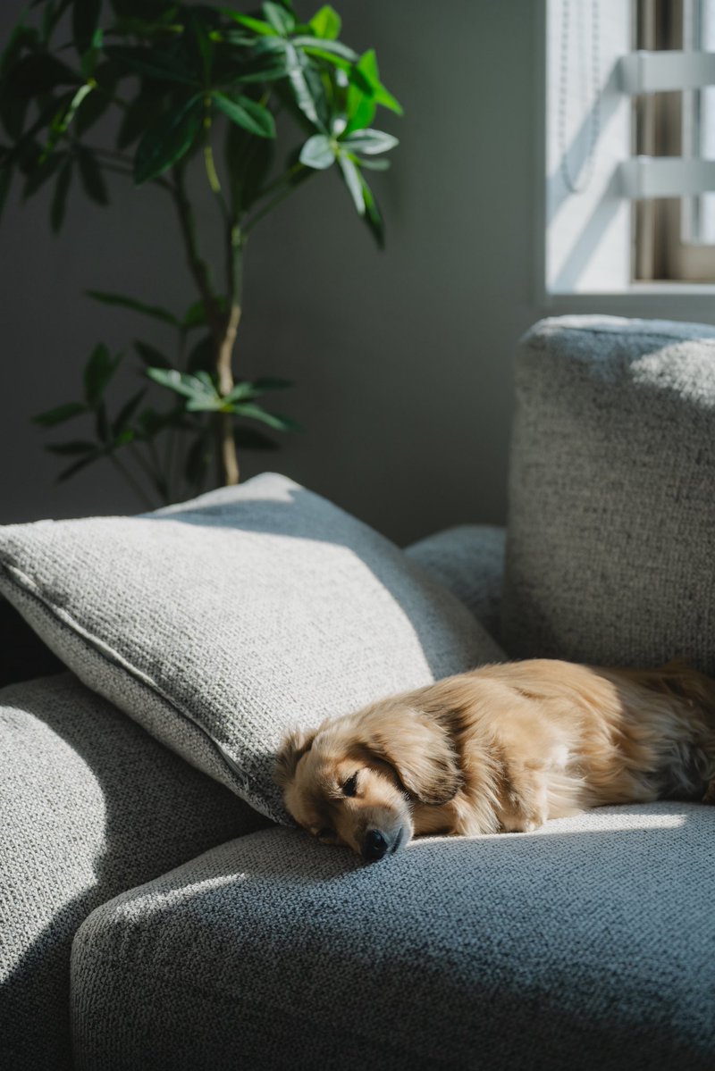 てらだせな（らて） tweet media