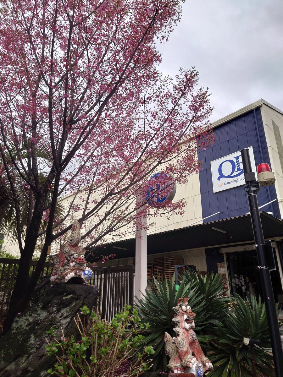 株式会社九飛勢螺～QP Fastening works～ピアスビス＆ピアスタ＆ファスナーズ tweet media