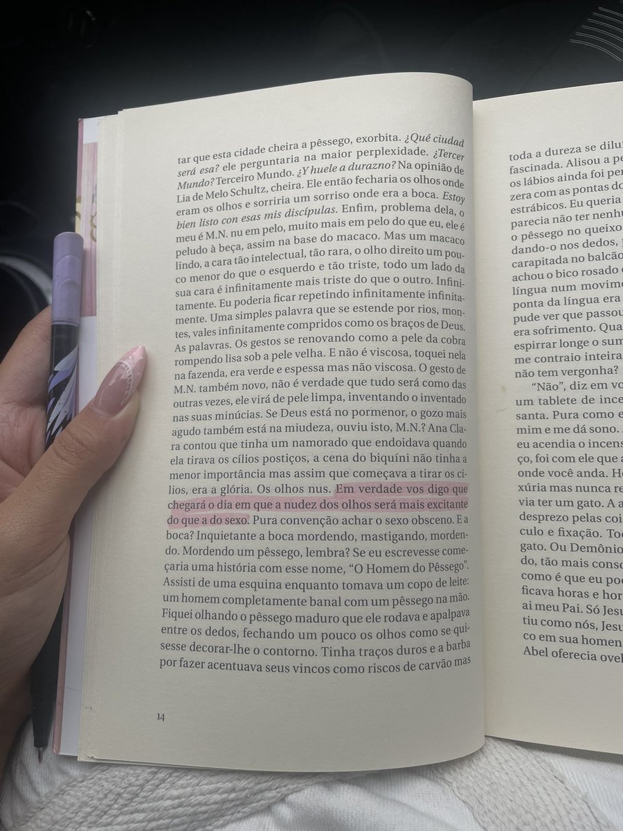 lica 𓏲 tweet media