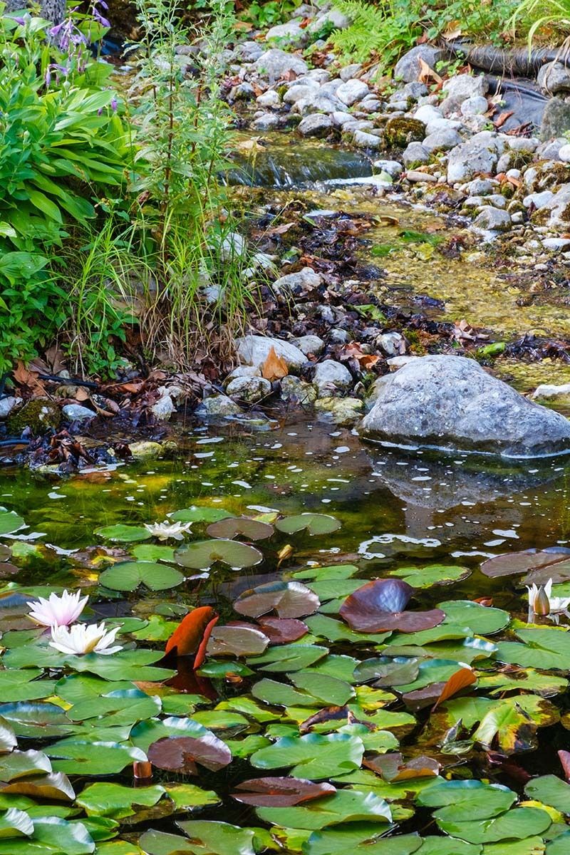 Judi Saunders tweet media