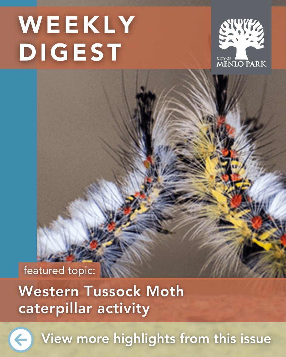 City of Menlo Park tweet media