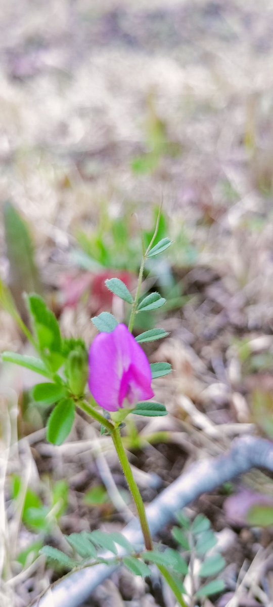 🩵Runne🩵🇯🇵💙🩵 tweet media