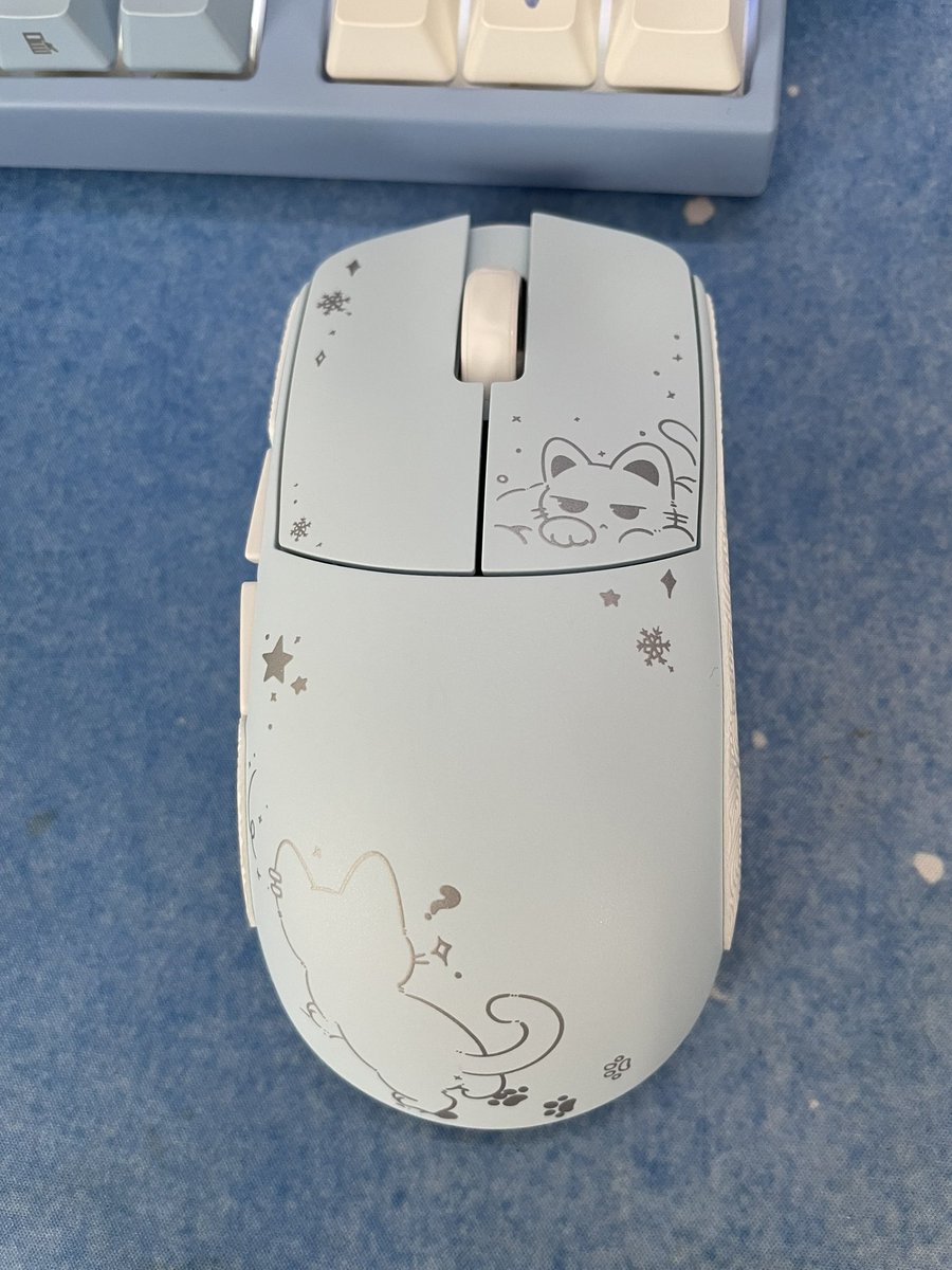 くろま🐈‍⬛ tweet media