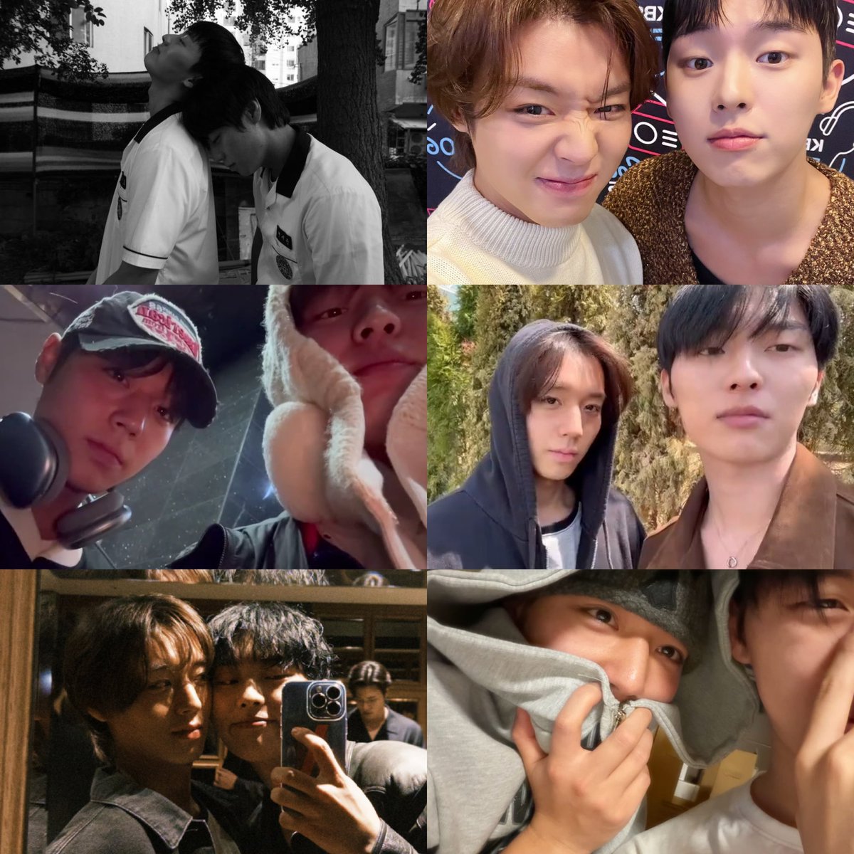 서팔광 tweet media