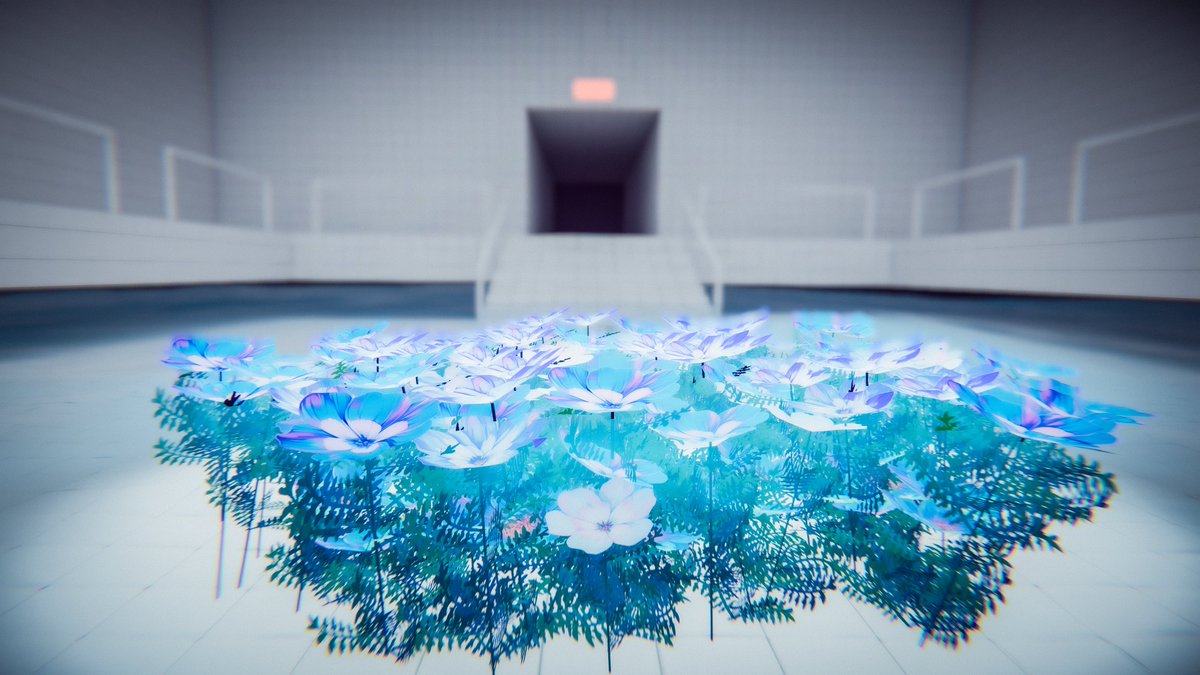 Kaerun 🐸📸 tweet media