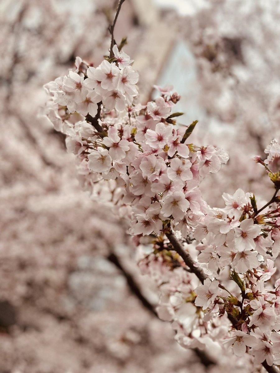 SE@photographer tweet media