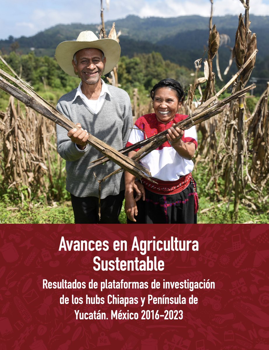 ACCIMMYT tweet media