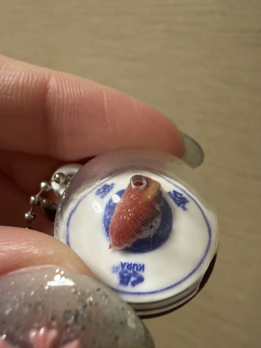 インサレイションテクノロジー tweet media