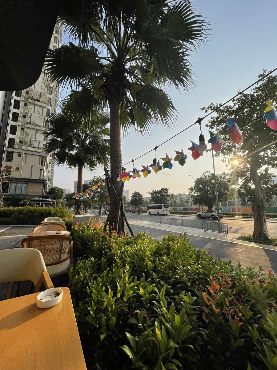 Tài Trần | Tiger tweet media