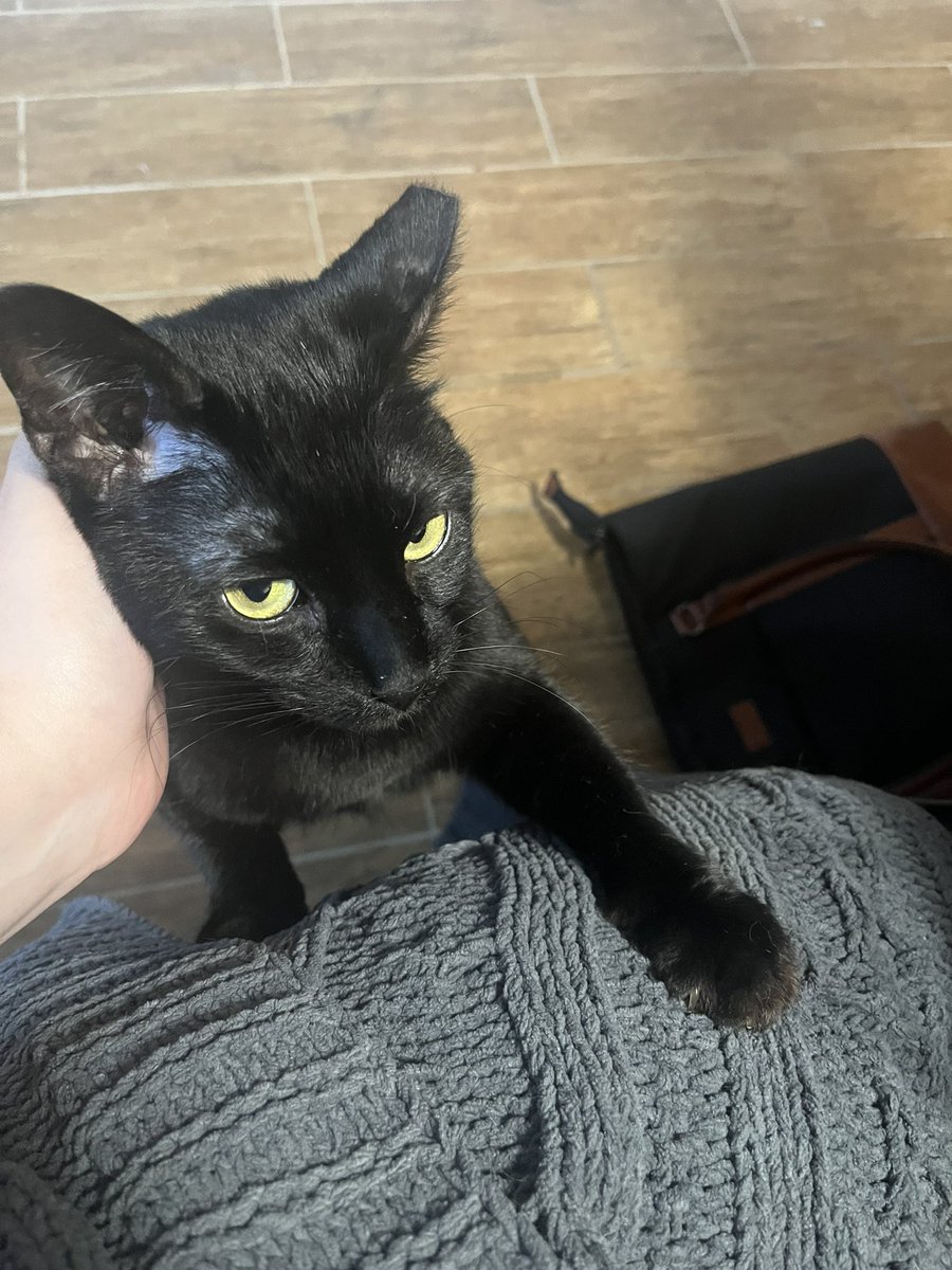 Molly Silverman tweet media