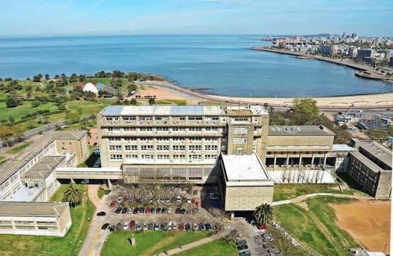 Gabriel Lander tweet media