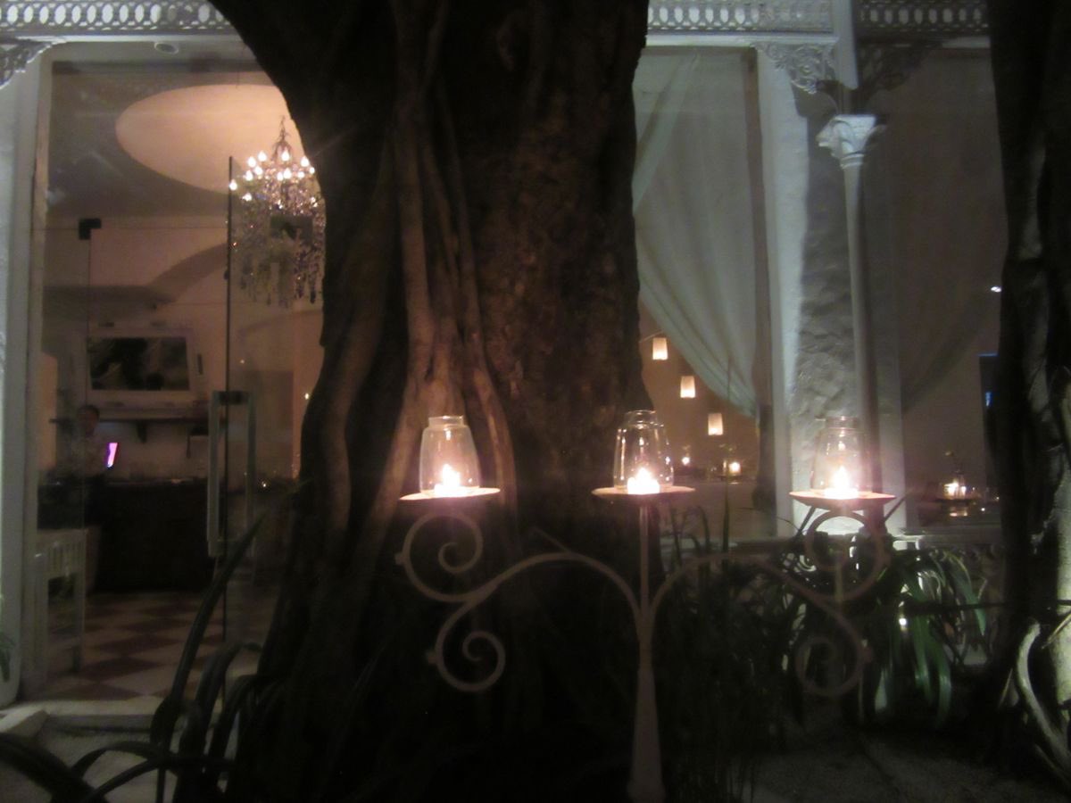 𝔦 🪭 tweet media