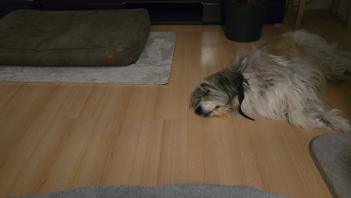 Fabelixx tweet media