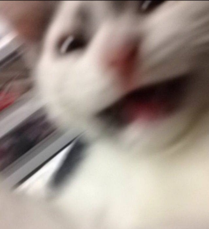 shin -- 日光 -- ✨️ tweet media