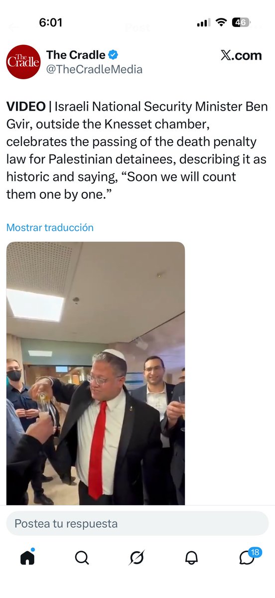 🟣 Fernanda de la Torre tweet media