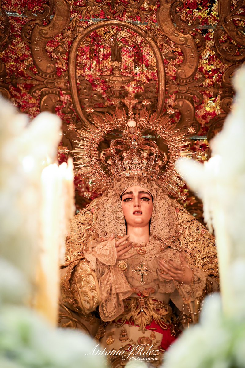 Antonio J Hernández tweet media