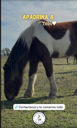 yagiba 🍵 tweet media