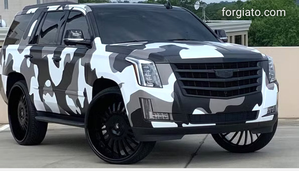 Gatesnaps tweet media