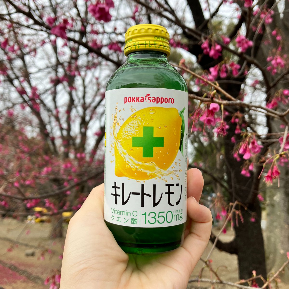 ポッカサッポロフード＆ビバレッジ🍋 tweet media